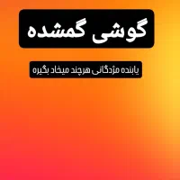 گوشی گمشده پوکو