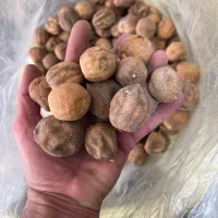 فروش لیموخشک ب صورت عمده