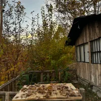 کلبه-باغ-سوییت