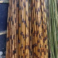 چوب بامبو....|مصالح و تجهیزات ساختمان|تهران, پیکان شهر|دیوار