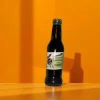 روغن طبیعی پسته کوهی(بنه)|خوردنی و آشامیدنی|پاسارگاد, |دیوار