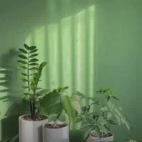 جویای کار درمنزل هستم.