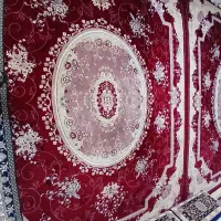 فرش پنصد شانه|فرش|الوند, |دیوار
