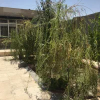 فروش باغ ویلا