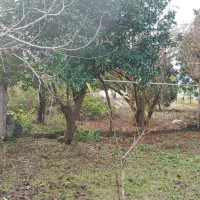 زمین داخل بافت مسکون.