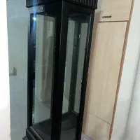 ویترین سالم