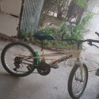 ۳ تا دوچرخه|دوچرخه، اسکیت، اسکوتر|بوشهر, |دیوار