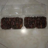 خرمای ( piarom) حاجی آباد پیارم|خوردنی و آشامیدنی|تهران, پونک|دیوار