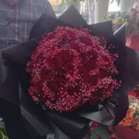 شاخه رز هلندی فقط ۸۰هزار بدون کلک فروش بسته ای