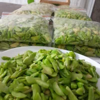 محصولات خانگی