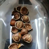 فندوق|خوردنی و آشامیدنی|یزد, |دیوار