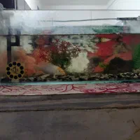 اکواریم کامل با ماهی ودستگاه|ماهی|میبد, |دیوار