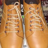 کفش بندی مردانه مدل ونس