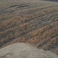 فروش 50 انبارکاه یکجا جمع شده