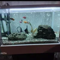 اکواریوم شیشه خم