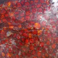 خرما|خوردنی و آشامیدنی|زاهدان, |دیوار