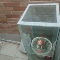 آکواریوم
