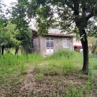 535متر خونه محوطه روستایی کوهپایه ای جنگلی