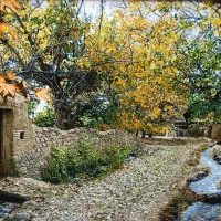 تابلوفرش چله ابریشم سایز بزرگ کوچه باغ/نقد و اقساط|تابلو فرش|تهران, لویزان|دیوار