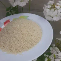 فروش برنج