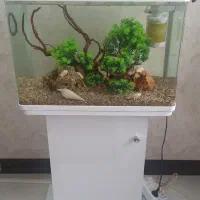 آکواریوم شیشه خم|ماهی|کرج, کلاک پایین|دیوار