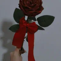 گل رز ربانی|گل مصنوعی|سنندج, |دیوار