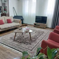 سوییت، روزانه ،هفتگی ،ماهانه