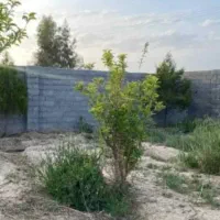 300متر-چهار-دیواری-سهمیه-آب-کشاورزی-درخت-مثمر