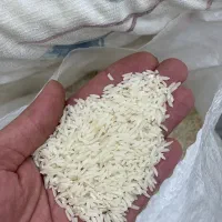 برنج طارم هاشمی ممتاز|خوردنی و آشامیدنی|تهران, دکتر هوشیار|دیوار
