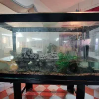 آکواریوم بزرگ با پایه