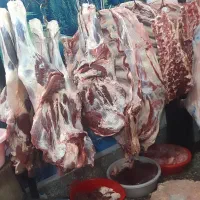 ارزانسرای گوشت