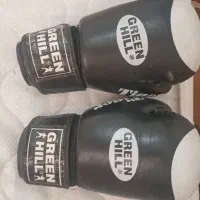 دستکش بوکس حرفه ای