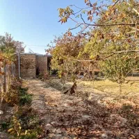 باغچه بسیار زیبا در روستای جمال آباد قوشچی|فروش دفتر صنعتی، کشاورزی، تجاری|انزل, |دیوار