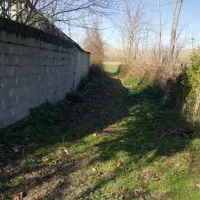 زمین باغ۸۶۰متر با درخت صنوبر