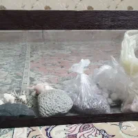 اکواریوم و تصفیه آب اکواریوم