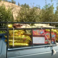 حمل بار .وانت تلفنی آریسان ۲و پراید بار.و نیسان|خدمات حمل و نقل|شیراز, محراب|دیوار