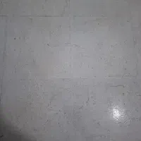 کار در دفتر شرکت