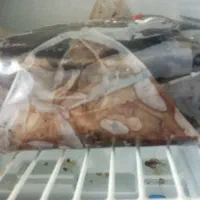 با این تمر قلیه ماهی ترشی شکم پر بادمجانبوشهر