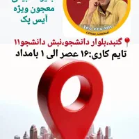 نیروی کار با سابقه