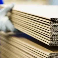 همکار آقا و خانم