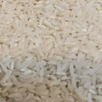 برنج هاشمی الموت