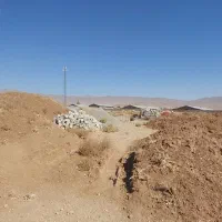 زمین با مجوز گلخانه|فروش زمین و ملک کلنگی|زنده رود, |دیوار