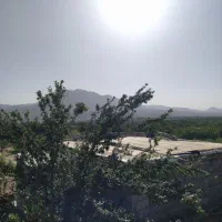 فروش باغ بااتاق درختان بار بده منطقه پل زمانخان|فروش دفتر صنعتی، کشاورزی، تجاری|نجف‌آباد, باغ ملی|دیوار