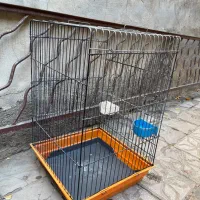 قفس بزرگ مناسب