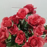 ۲۰شاخه گل رز قرمز شاخه ایی ۳۰ تومان|گل مصنوعی|رشت, عینک|دیوار