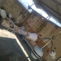 لوستر۸ شاخه و ۳شاخه