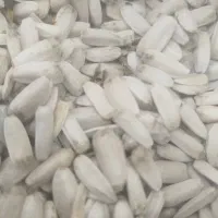 تخمه سفید درشت زیر قیمت کل ایران جزعی وکلی|عمدهفروشی|سبزوار, شرق کال عیدگاه|دیوار