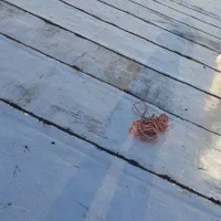 نصب ایزوگام وقیرگنی|خدمات پیشه و مهارت|هرسین, |دیوار