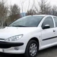 ۲۰۶اس دی بی رنگ تیپ۵