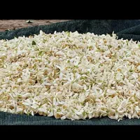 عرق بهار نارنج خانگی